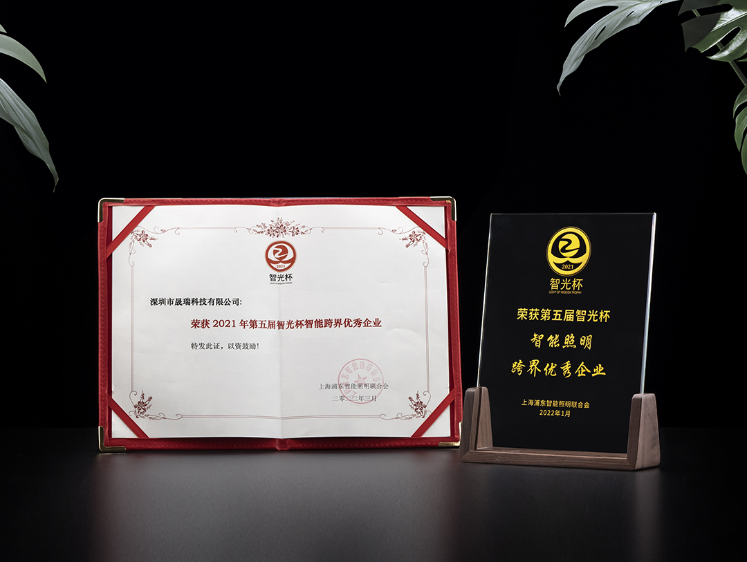 1 第五屆“智光杯”智能照明跨界優秀企業1080.jpg
